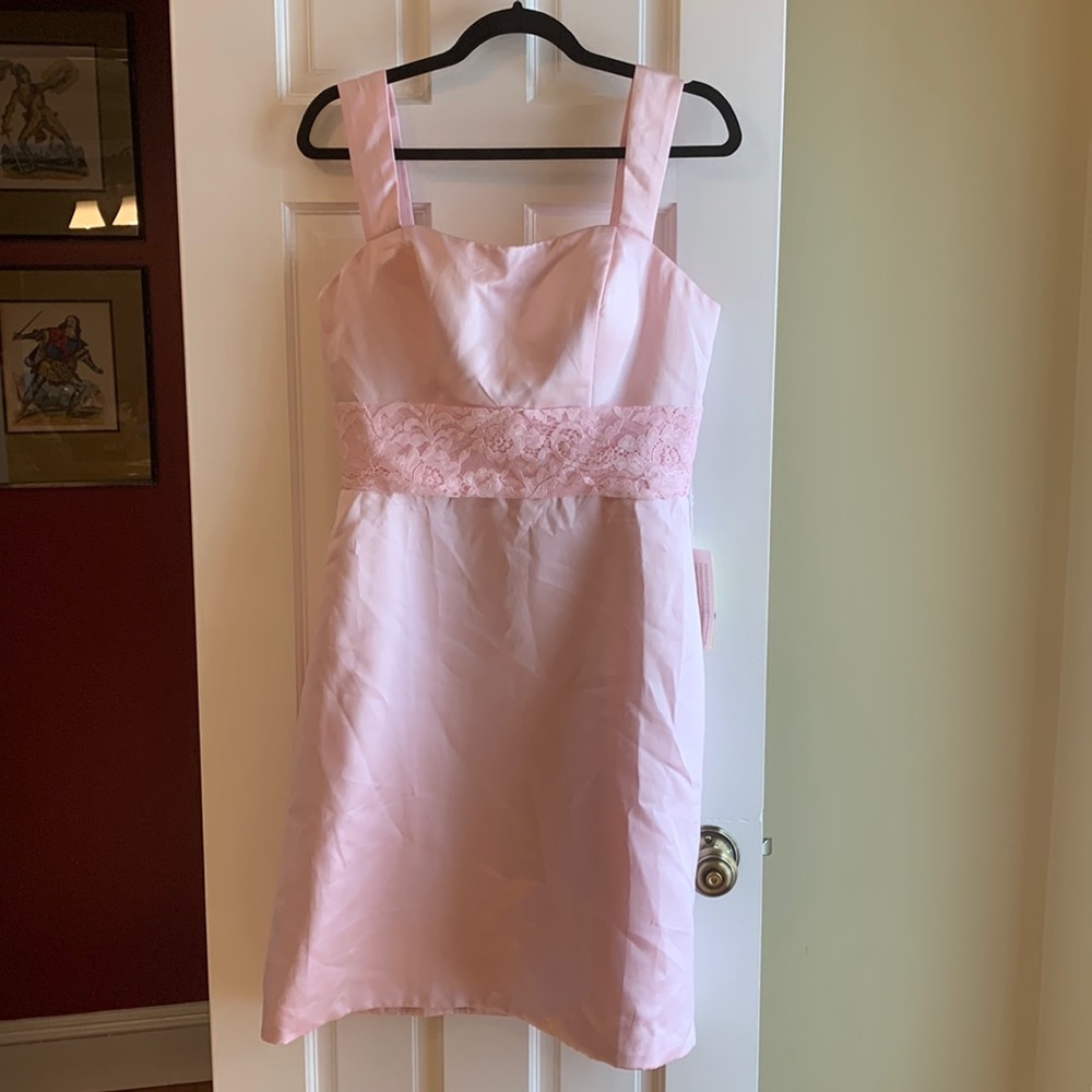 TS Couture Pale Pink Sheath Satin Dress